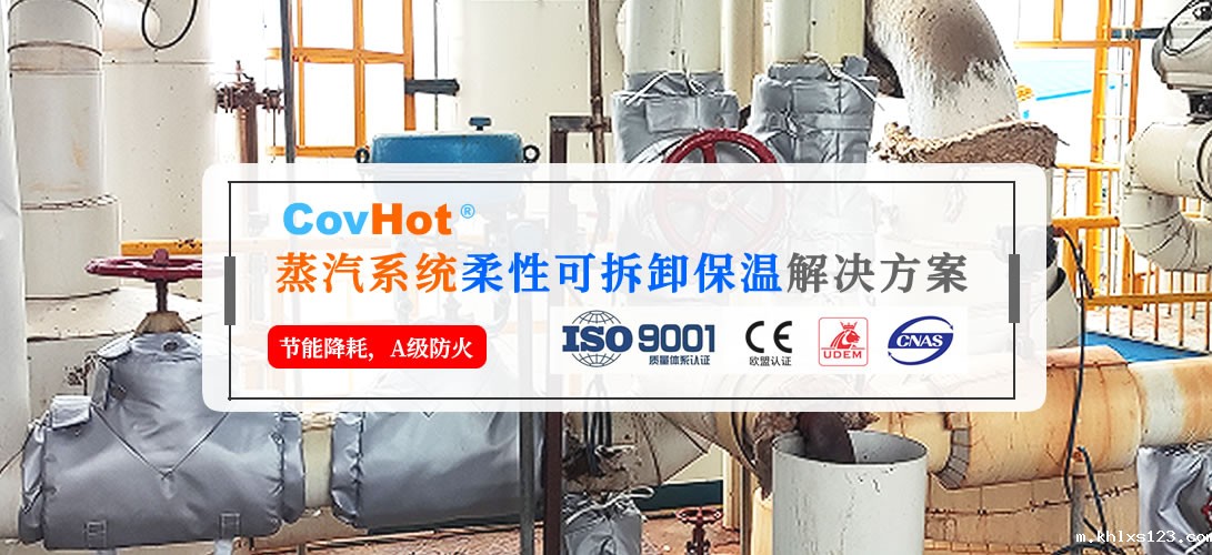 蒸汽阀门保温衣